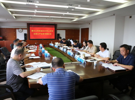 公司黨組召開(kāi)上半年全面從嚴(yán)治黨專(zhuān)題會(huì)議