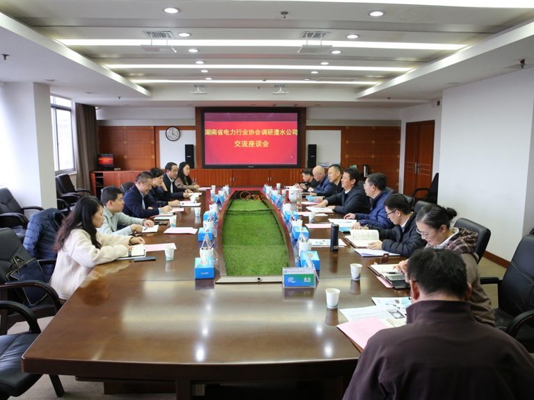 湖南省電力行業(yè)協(xié)會(huì)來公司調(diào)研座談